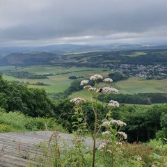 Ausblick in die Pfalz auf dem Historischen Amtsweg Burglichtenberg