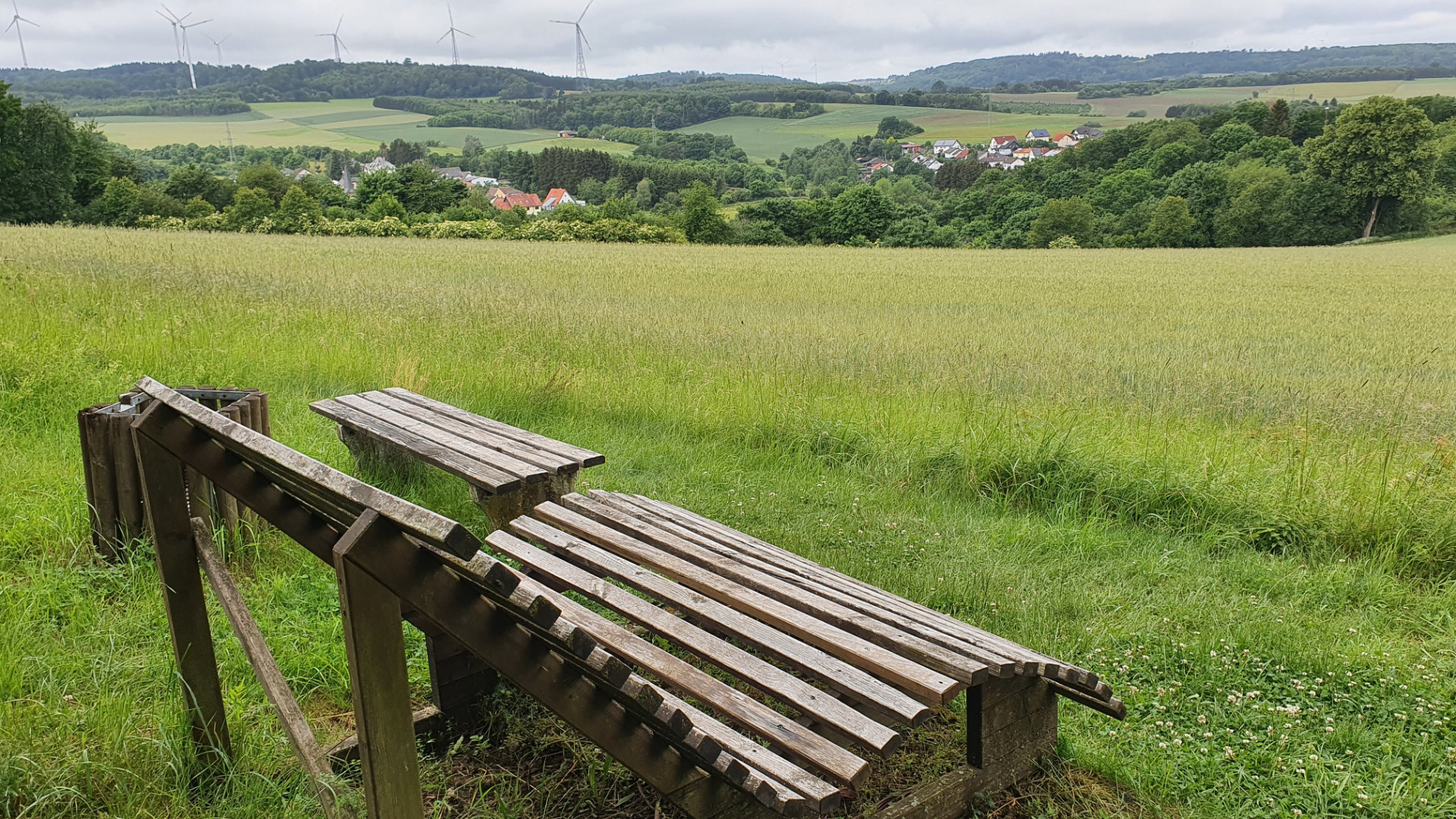 Wellenbänke auf einer Wiese mit Ausblick