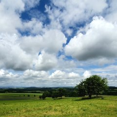 Panoramablick in den Hunsrück