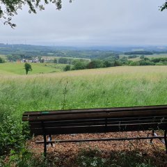 Ruhebank mit Blick über Eckersweiler