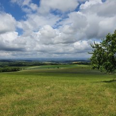 Weitblick über Eckersweiler auf dem Historischen Amtsweg Burglichtenberg