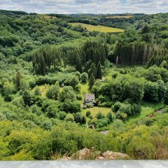 Ausblick auf die Nahe mit alter Mühle