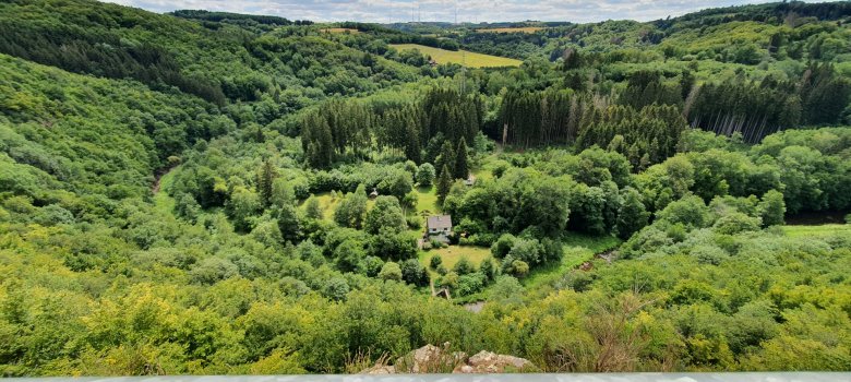 Ausblick auf die Nahe mit alter Mühle