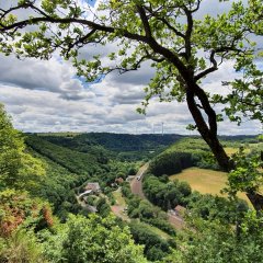 Nahesteig - Eisenbahnerglück in Heimbach