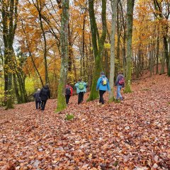 Wandergruppe im Herbst