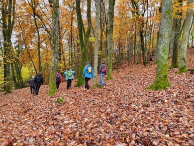 Wandergruppe im Herbst Wandergruppe im Herbst