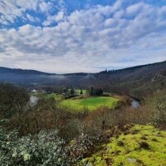 Ausblick auf Enzweiler im Herbst