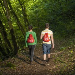 Wanderer mit Picknickbeutel im Wald