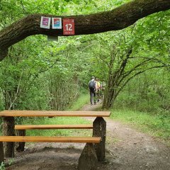 Rastplatz neben der Nahe bei Nohen