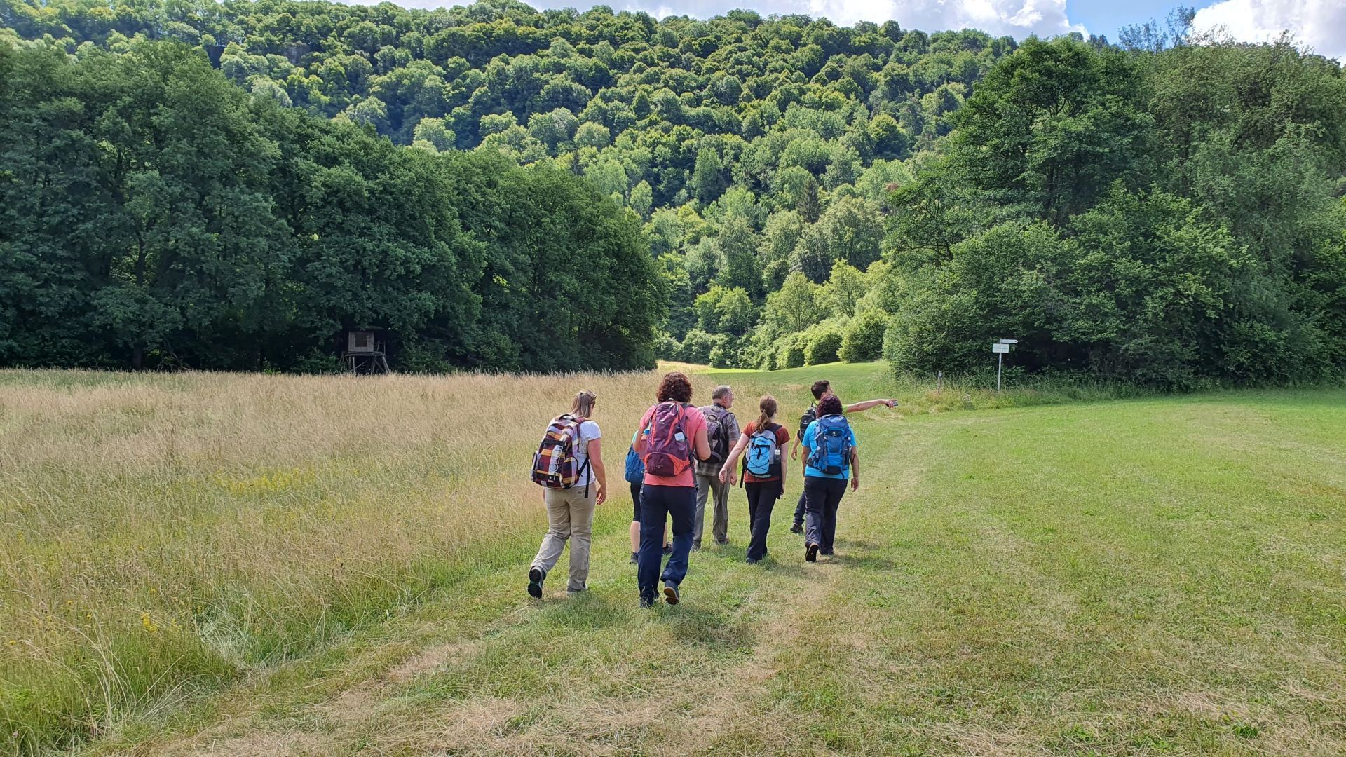 Nahesteig - Wiesenabschnitt im Sommer 