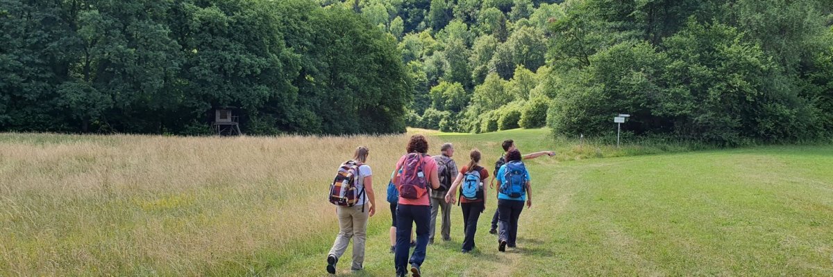 Nahesteig - Wiesenabschnitt im Sommer 