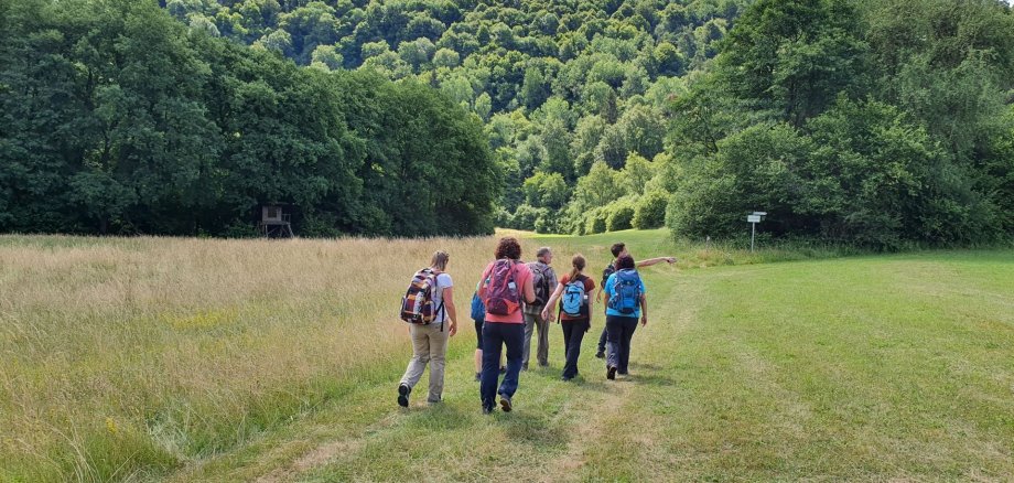 Nahesteig - Wiesenabschnitt im Sommer 