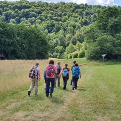 Nahesteig - Wiesenabschnitt im Sommer 