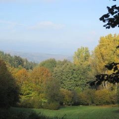 Ausblick in den Hunsrück