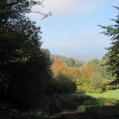 Feldweg auf dem Themenwanderweg