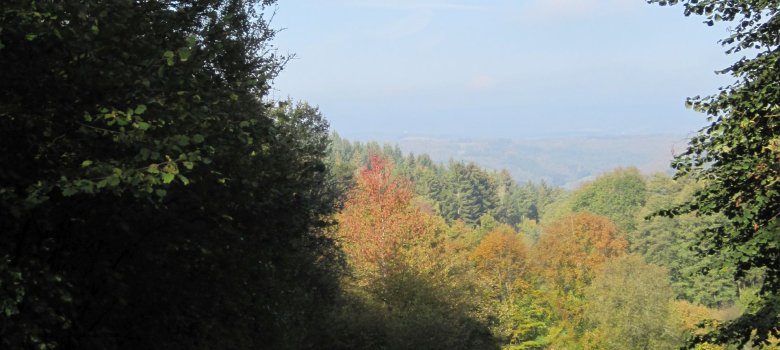 Feldweg auf dem Themenwanderweg