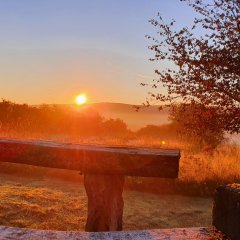 Sonnenuntergang an einem Rastplatz auf dem Themenwanderweg in Reichenbach (Nahe)