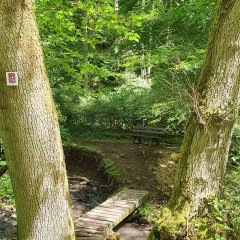 Ruhebank am Auersbach