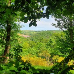 Ausblick Fotopunkt am Pfad der Steine