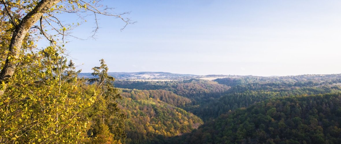 Aussicht auf den Truppenübungsplatz am Rastplatz Hubertusruh auf der Traumschleife Bärenbachpfad in Baumholder Aussicht auf den Truppenübungsplatz am Rastplatz Hubertusruh auf der Traumschleife Bärenbachpfad in Baumholder