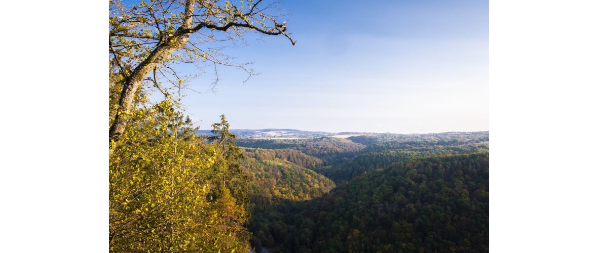 Aussicht auf den TüP von der Hubertusruh 