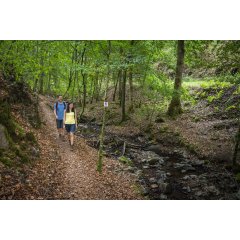 Pfad neben dem Bärenbach