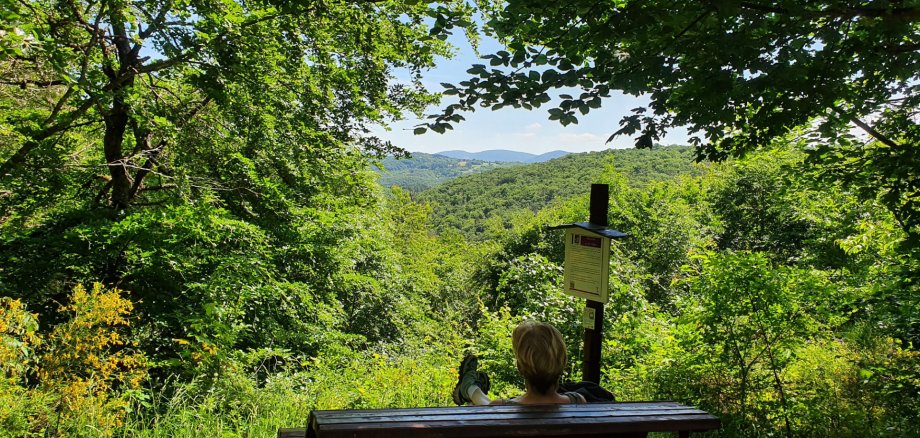 Rastplatz Pfalzblick an der Traumschleife Bärenbachpfad in Baumholder