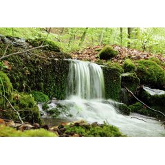 Wasserfall des Bärenbach