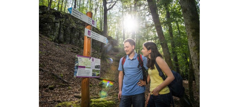 Wegweiser am Wildfrauenloch