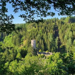 Aussicht auf die Frauenburg vom Aussichtspunkt Burgblick