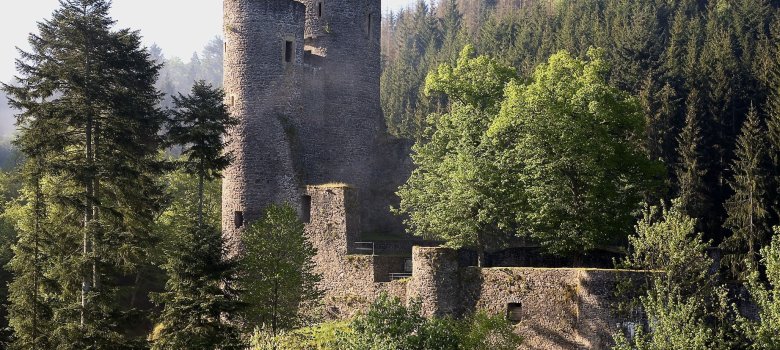 Die Frauenburg umgeben von Wald auf der Traumschleife Gräfin Loretta in Frauenberg Frauenburg