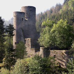 Frauenburg in grünem Wald