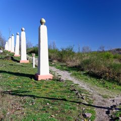Kaiserallee auf dem Nahekopf mit Wegweiserbaum im Vordergrund auf der Traumschleife Gräfin Loretta in Frauenberg