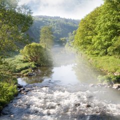 Die Nahe im frühmorgendlichen Dunst auf der Traumschleife Gräfin Loretta in Frauenberg