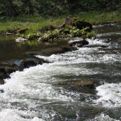 Stromschnellen an der Nahe