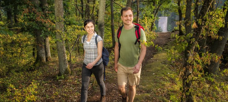 Wanderer auf einem Waldpfad auf der Traumschleife Gräfin Loretta in Frauenberg Wanderer auf Premiumwegen unterwegs