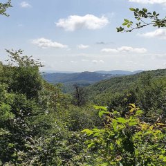 Ausblick in die Pfalz