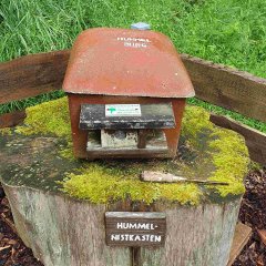 Hummelburg am Naturschutzplatz