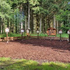 Naturschatzplatz Im Gärtel