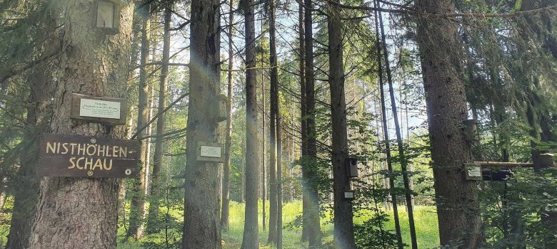 Nisthöhlenschau Nisthöhlenschau