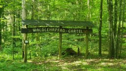 Startportal Waldlehrpfad "Im Gärtel"