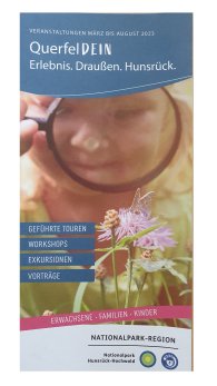 Veranstaltungsflyer QuerfelDEIN Veranstaltungsflyer QuerfelDEIN