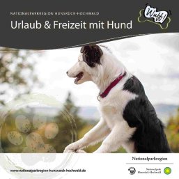 Titelbild: Flyer Wuff - Urlaub und Feizeit mit dem Hund