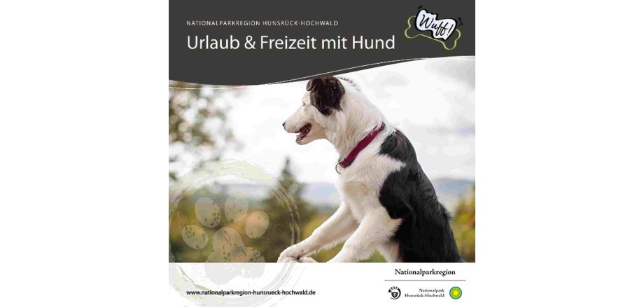 Titelbild: Flyer Wuff - Urlaub und Feizeit mit dem Hund