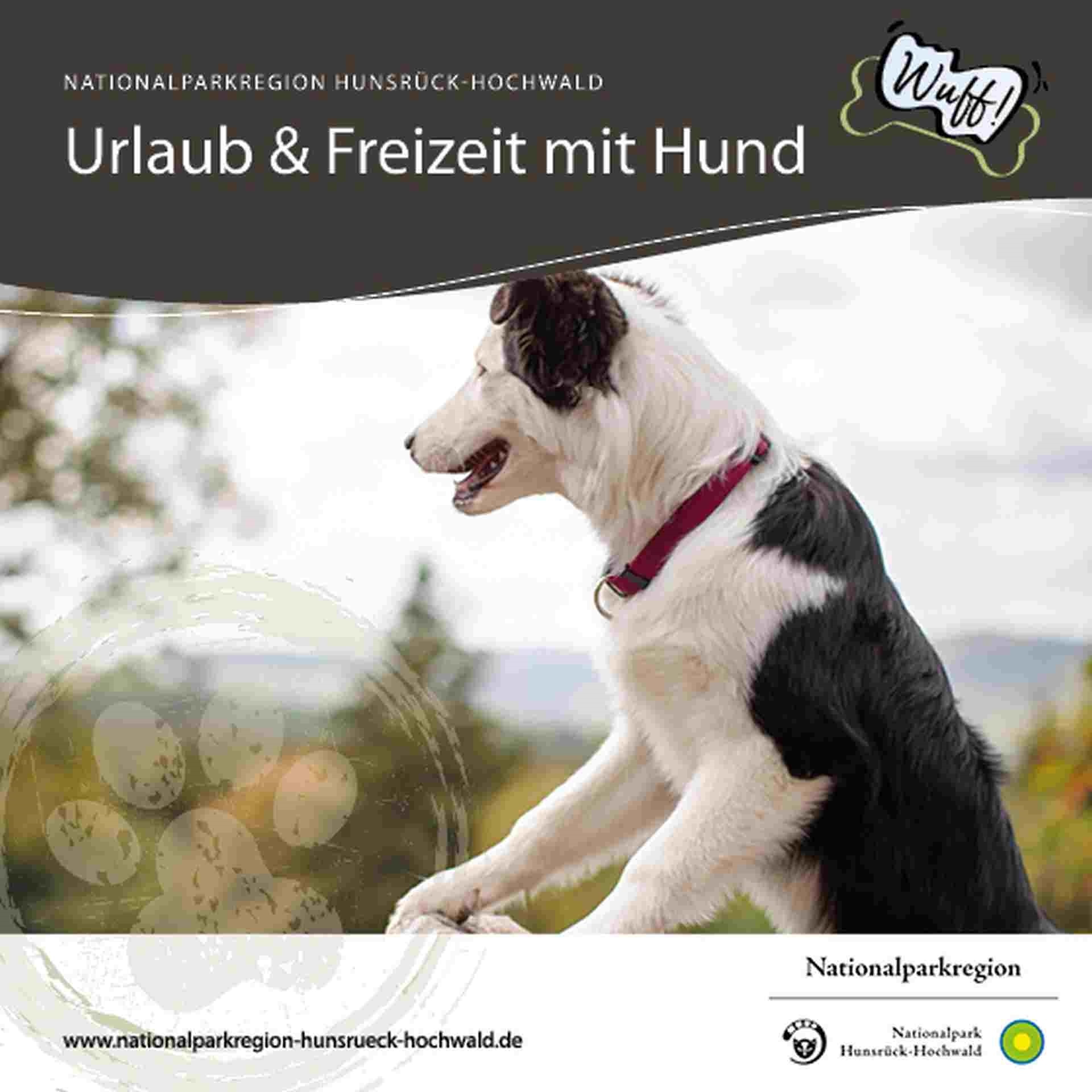Wuff - Urlaub und Feizeit mit dem Hund Titelbild: Flyer Wuff - Urlaub und Feizeit mit dem Hund