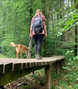 Wanderin und Hund auf Brücke