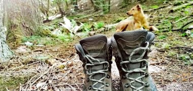 Hund und Wanderschuhe an der Nahe