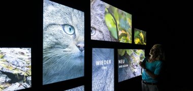 Nationalparkausstellung Hunsrückhaus