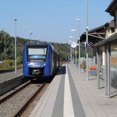 Zug im Bahnhof Baumholder