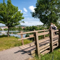 Holzbrücke am Weiher